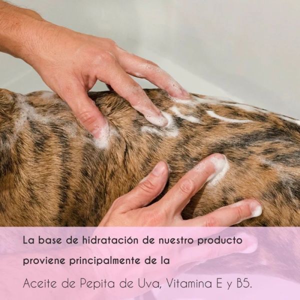 Champú para perros de agua - 200 ml