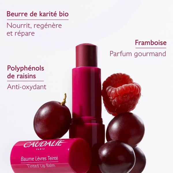 Baume Lèvres Teinté Vinotherapist - 4,5 g