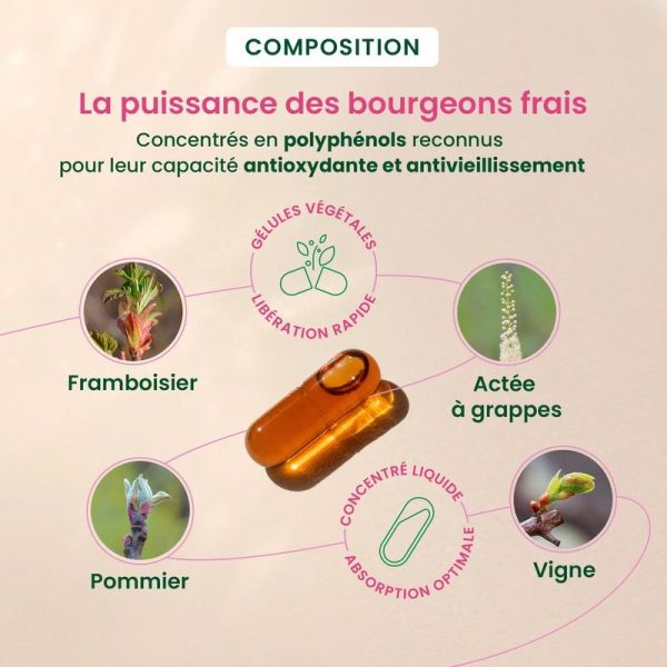 Périménopause - 30 gélules