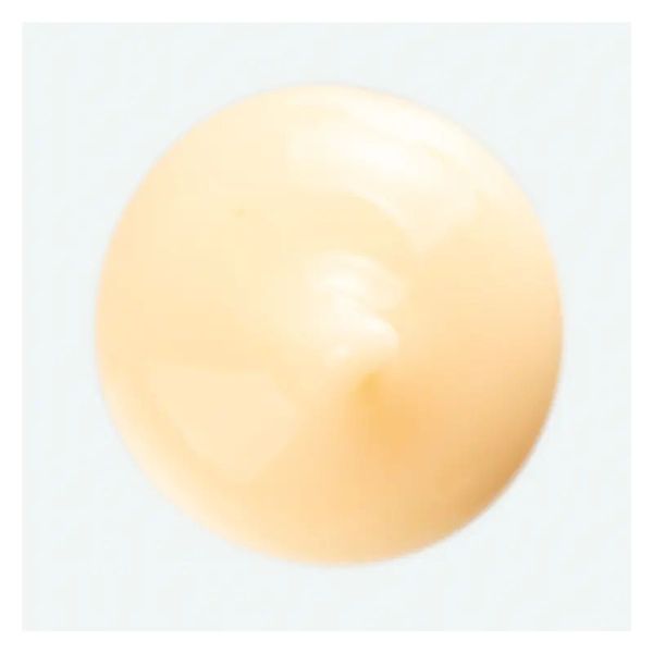 Crème nourrissante sans rinçage NUTRITION - 100 ml