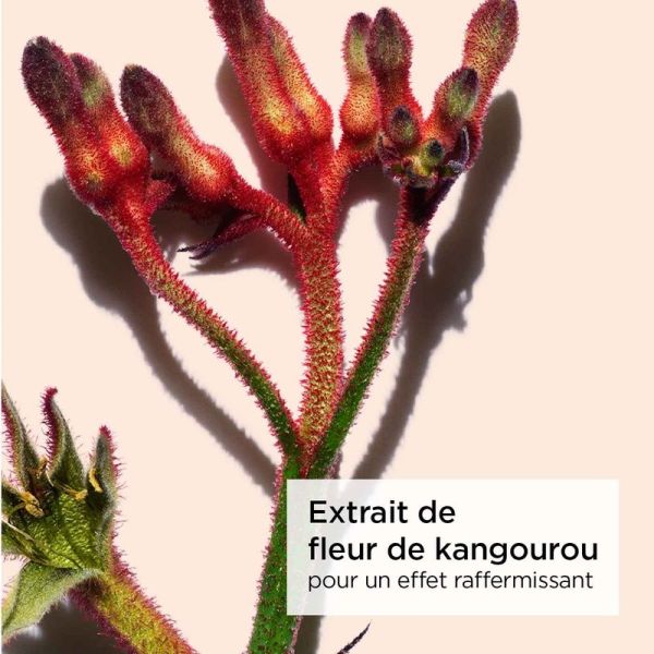 Contour des Yeux Anti-Rides & Fermeté – 40 ans – Total Eye Smooth – 15 ml