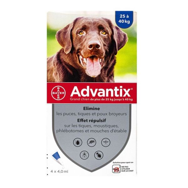 Advantix Grand Chien Pipet 4Mlx4