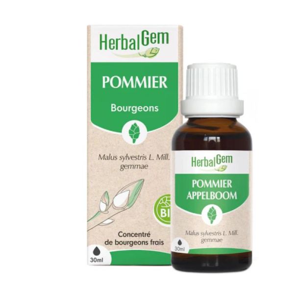 Herbalgem Macerat M Conc Pommier 30Ml