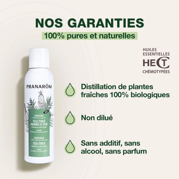 Hydrolat de Tea Tree - Arbre à thé - Bio - 150 ml