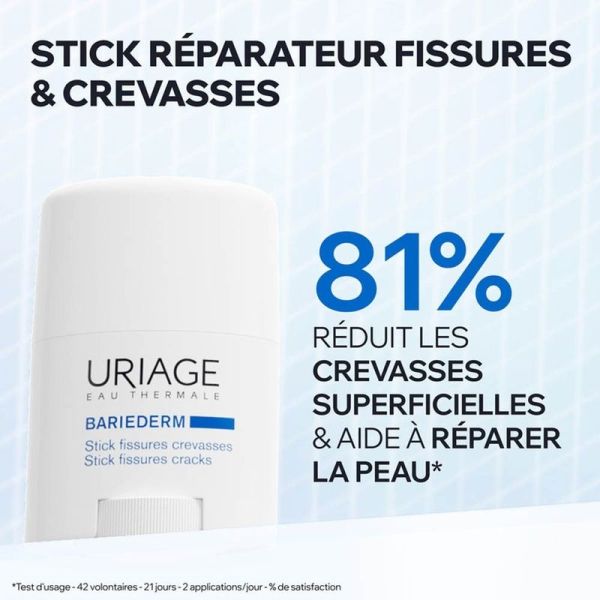 Stick Fissures Crevasses Bariederm - 22 g