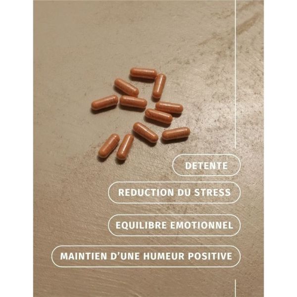 Safran Équilibre Émotionnel - 30 gélules
