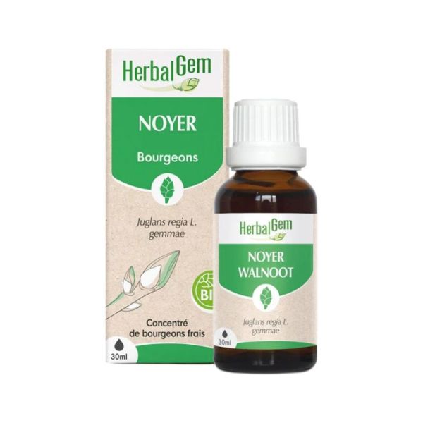 Herbalgem Macerat M Conc Noyer 30Ml