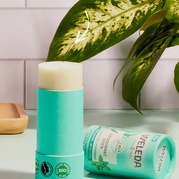 Déodorant solide 24H Eucalyptus Menthe poivrée - 50 g