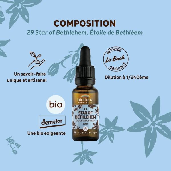 Fleur de Bach n 29 Star of Bethlehem, Etoile de Bethleem - Bio Demeter - 20 ml