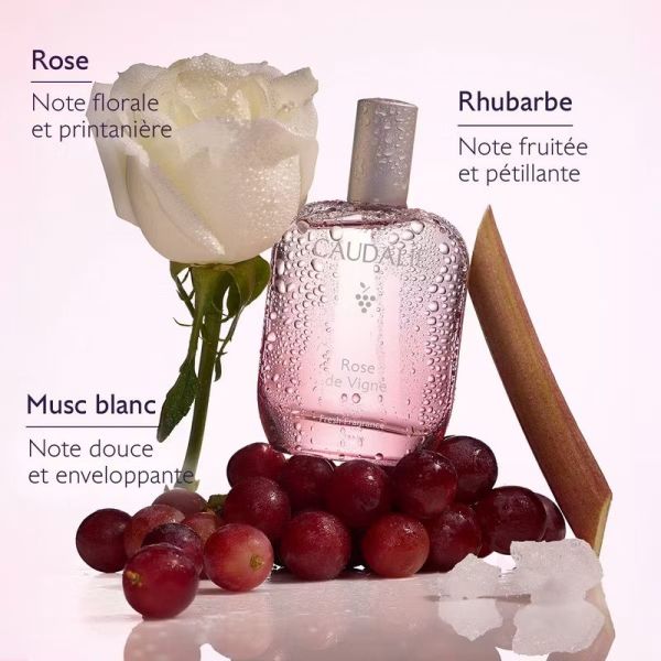 Coffret Eau Fraîche - Thé des Vignes
