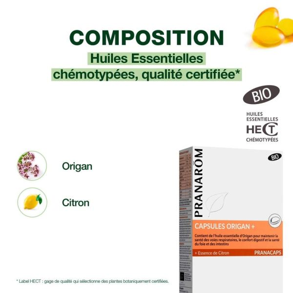Capsules Origan + - Bio - 30 capsules