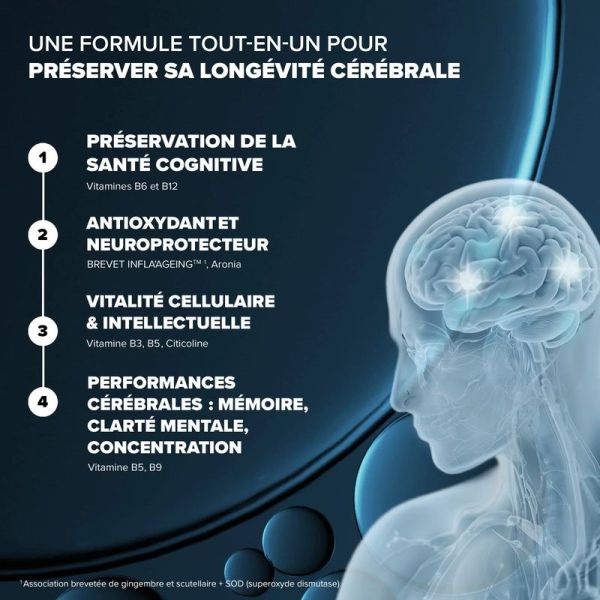 Capital Cérébral - 60 gélules