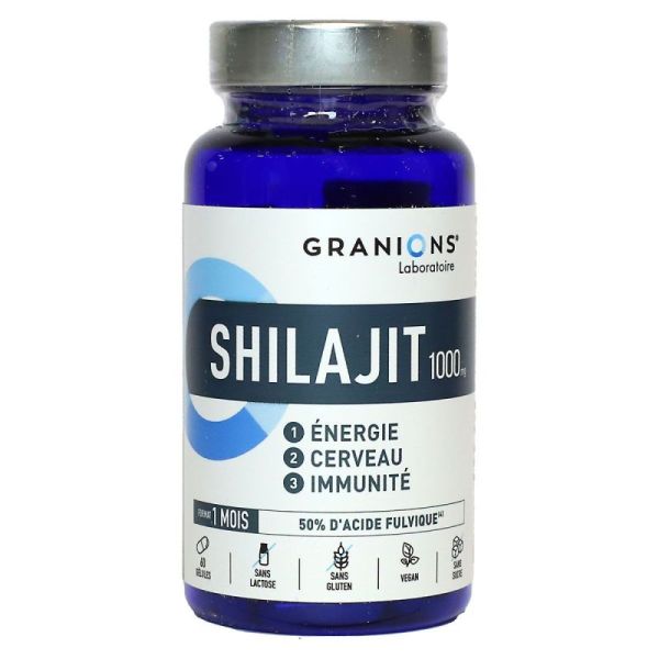 Shilajit 1000mg energie cerveau immunité 1 mois 60 gélules