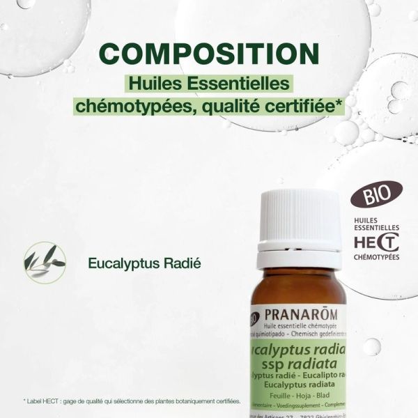 Huile Essentielle d'Eucalyptus radié - Bio - 10 ml