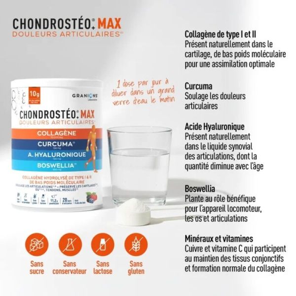 Chondrostéo MAX collagène Poudre - 225 g