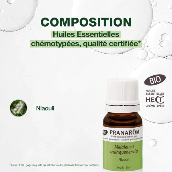 Huile Essentielle de Niaouli - Bio - 10 ml