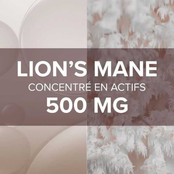 Arkogélules Lion's Mane - 60 gélules