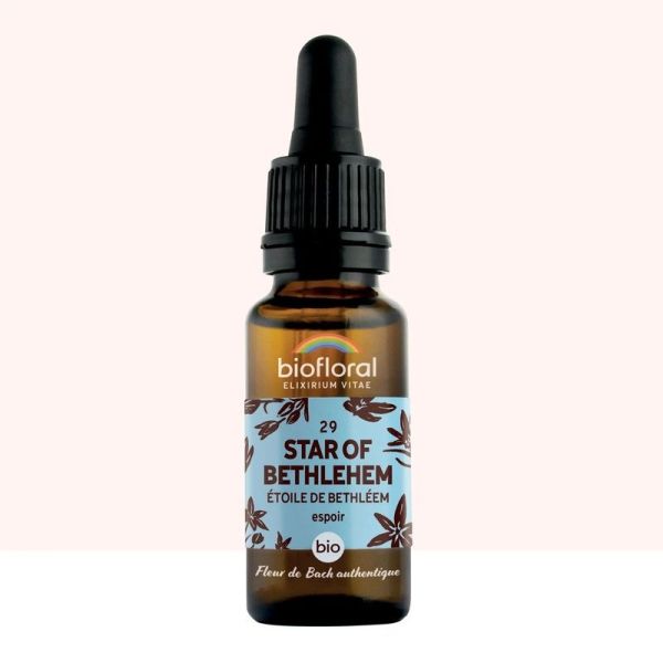 Fleur de Bach n 29 Star of Bethlehem, Etoile de Bethleem - Bio Demeter - 20 ml