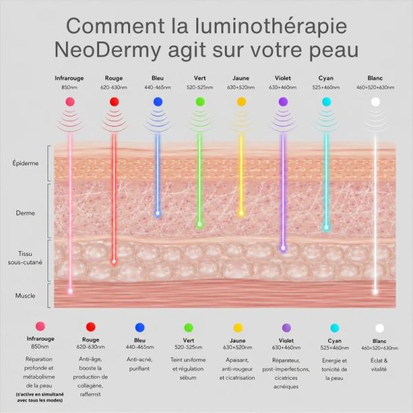 LED Light Therapy Mask - 1 unité