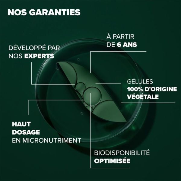 Fer Liposomal Arkogélules - 60 gélules