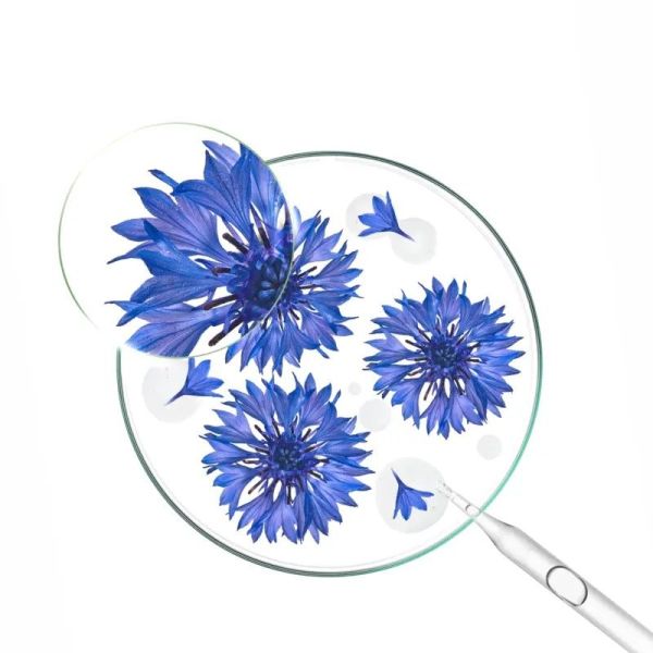 Démaquillant yeux waterproof au Bleuet BIO - 100 ml