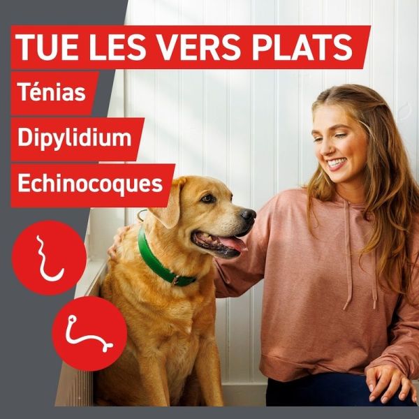 Wormer Vermifuge Chien - 2 comprimes