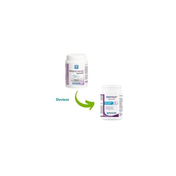 Ergynuit Sommeil - 60 gélules