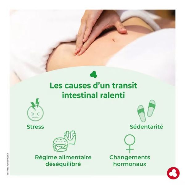 Fruits & Fibres Forte Transit Intestinal - 12 sticks