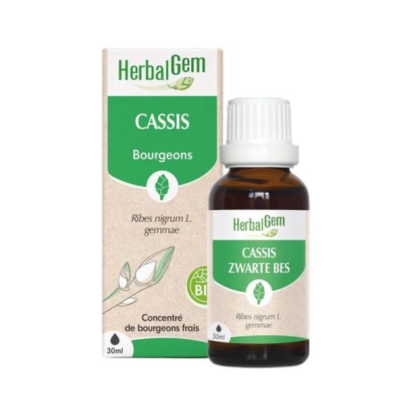 Herbalgem Macerat M Conc Cassis 30Ml