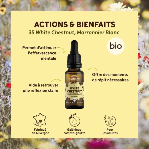 Fleur de Bach n degrés35 White Chestnut, Marronnier Blanc - Bio Demeter - 20 ml