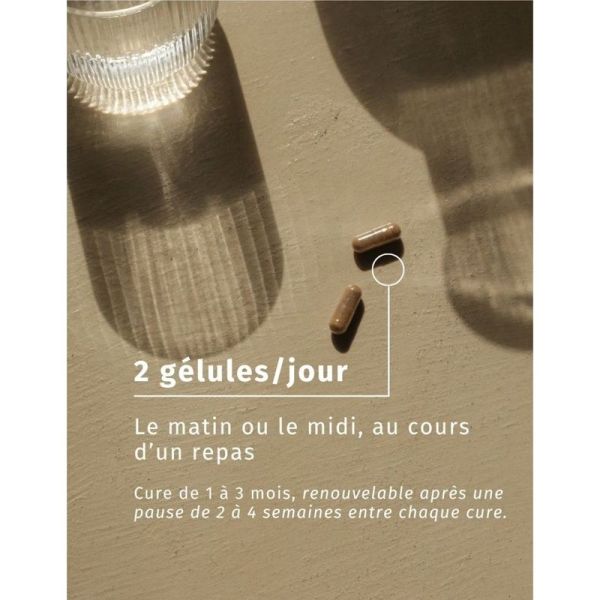 Shilajit - 60 gélules