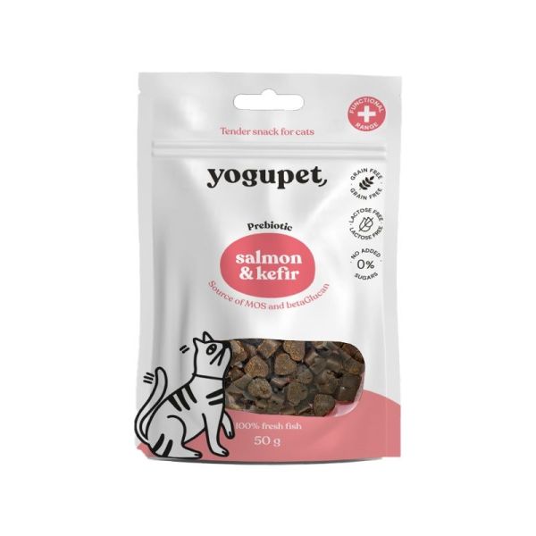 Snack saumon et kéfir - 100 g