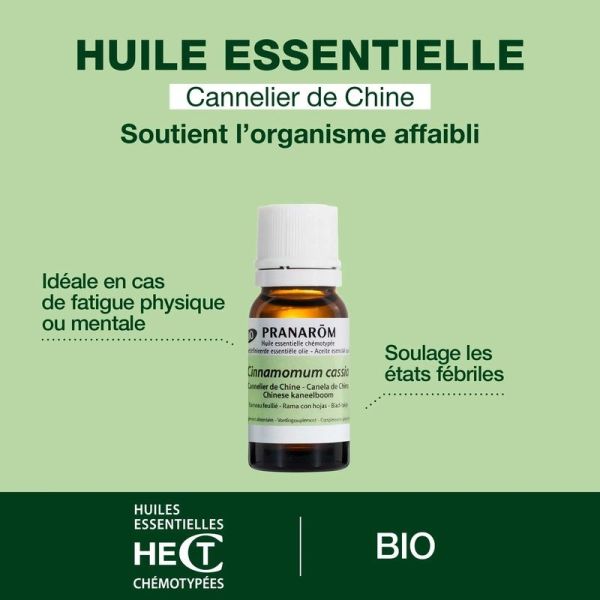 Huile Essentielle de Cannelier de Chine - Bio - 10 ml