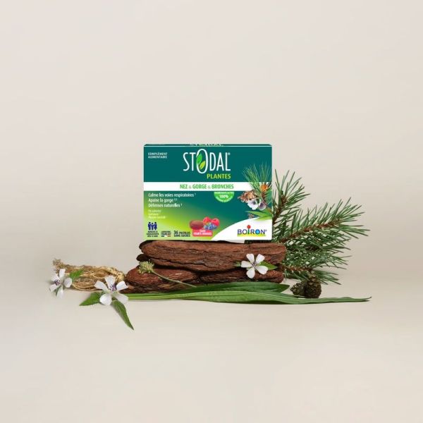 Stodal Plantes Pastilles Nez & Gorge & Bronches - Fruits Rouges - 36 pastilles