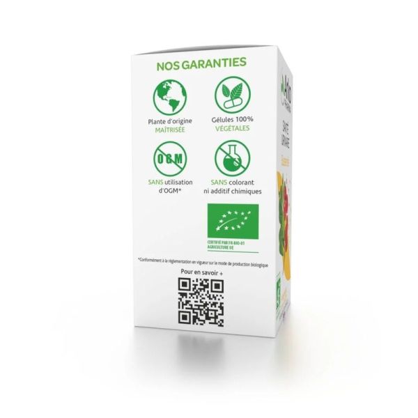 Busserole Arkogélules - 45 gélules
