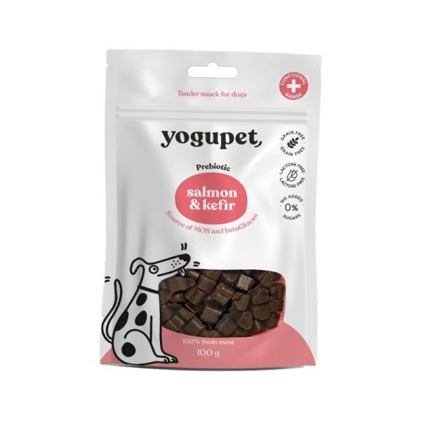 Snack saumon et kéfir - 50 g