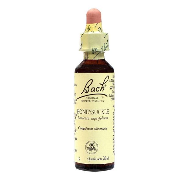 Bach Honeysuckle 71716