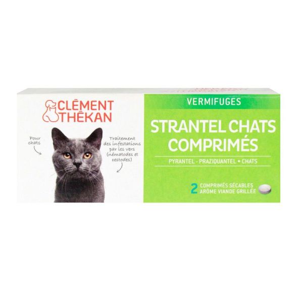 Ct Strantel Chat Cp 2