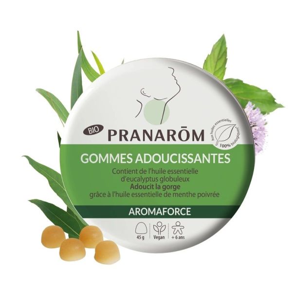 Gommes adoucissantes - Menthe/Eucalyptus - Bio - 45 g