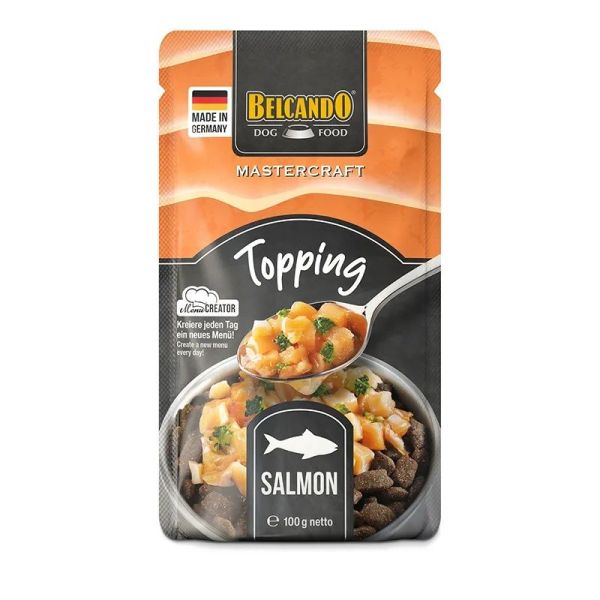 Salmon - Chien adulte 100 g
