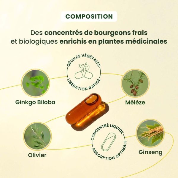 GEMMOCAPS Stress-Protect Cognition - 30 gélules