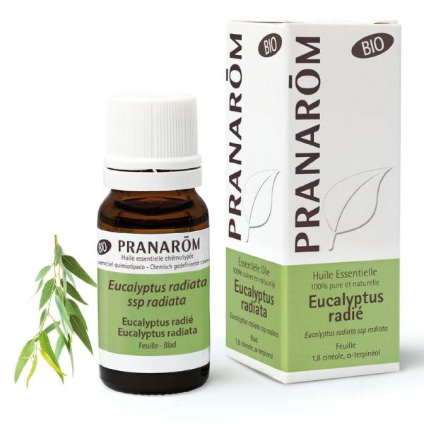 Huile Essentielle d'Eucalyptus radié - Bio - 10 ml