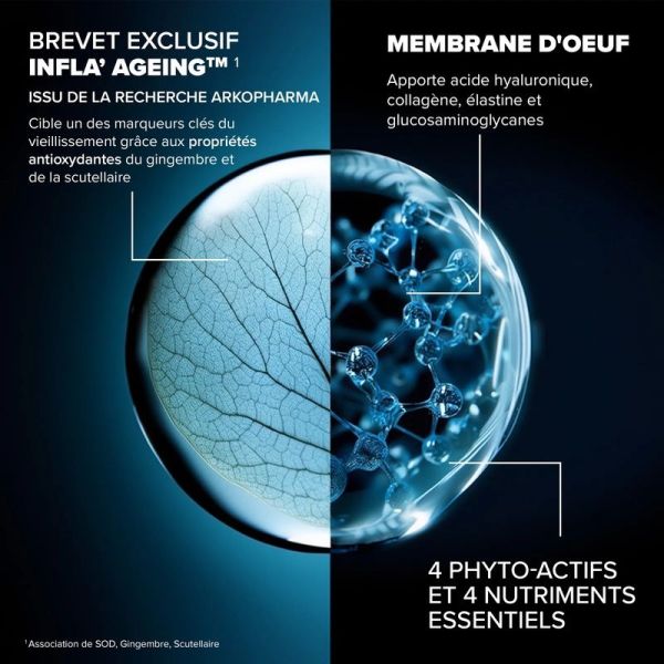 Santé Longévité Capital Articulaire - 60 gélules
