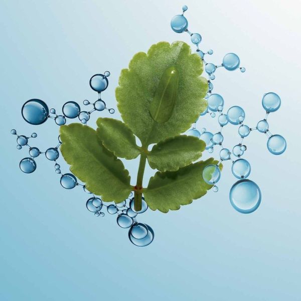 Gel Hydratant et Matifiant Visage - Hydra-Essentiel - 75 ml