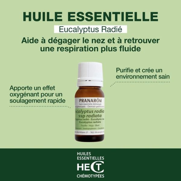 Huile Essentielle d'Eucalyptus radié - 10 ml