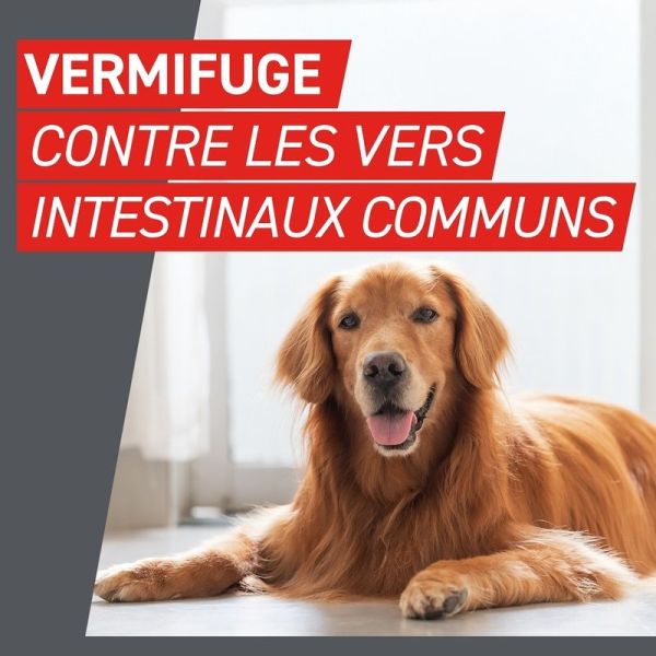 Wormer Vermifuge Chien - 2 comprimes