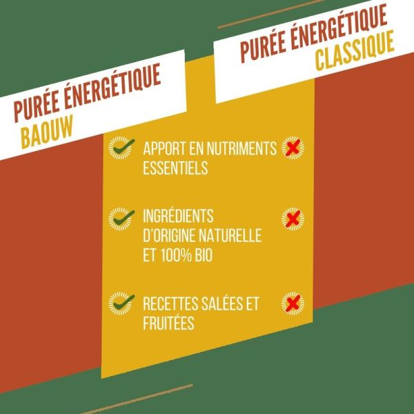 Energy Purees Mango - Passion - Ginger - 90 g