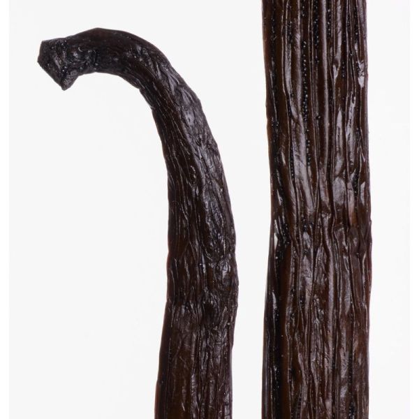 Déodorant stick - Vanille Tonka - 50 g