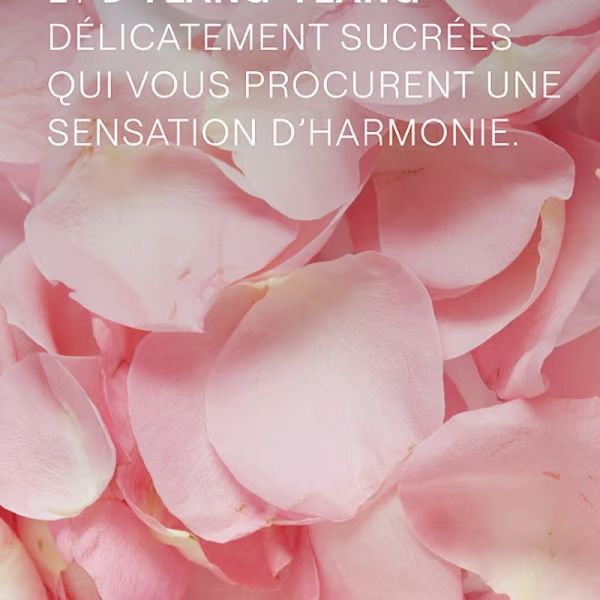 Love Crème de Douche Rose délicate - 200 ml