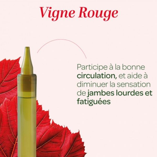 Vigne Rouge Bio Jambes Legeres - 20 unidoses de 15 ml